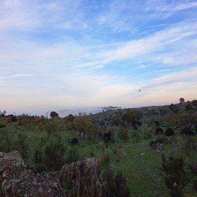 foto de Javier 