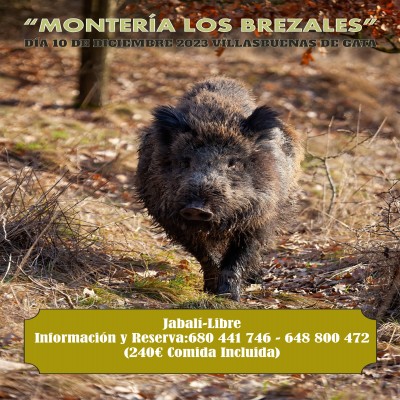 foto de Jos&eacute; Luis