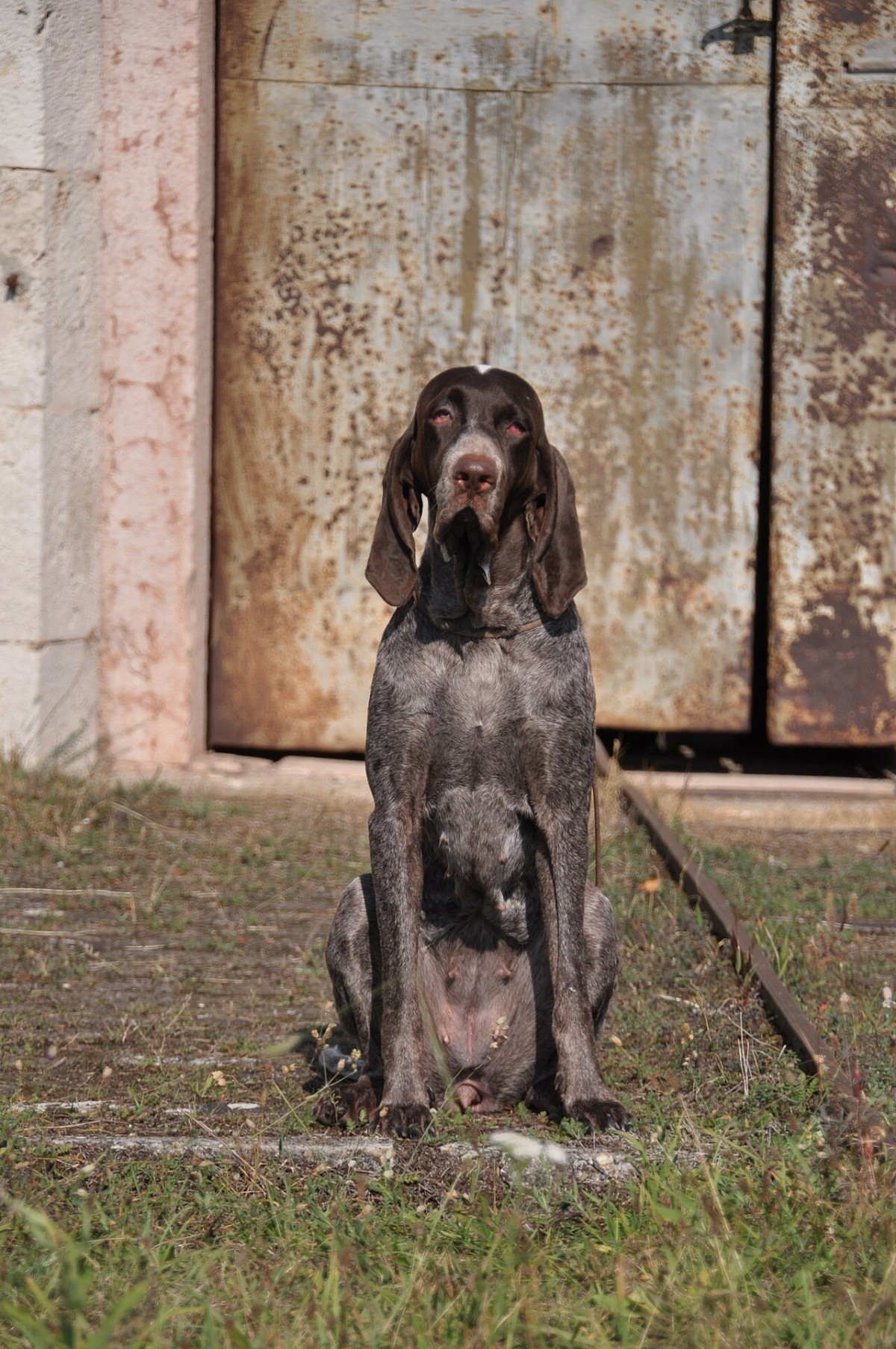 #