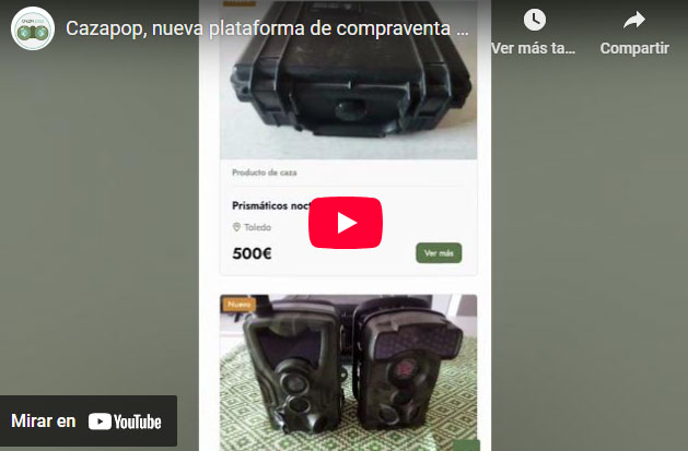 Video preview